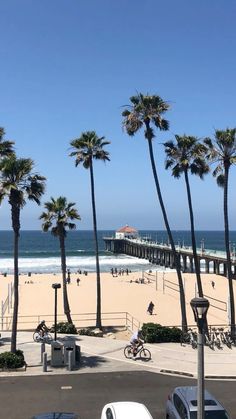 the beach is lined with palm trees and parked cars