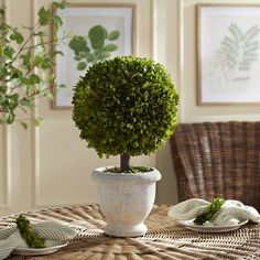 a potted plant sitting on top of a table next to two plates with food