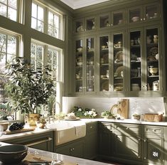 a kitchen filled with lots of green cabinets and counter top space next to a potted plant