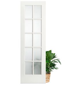 a potted plant sitting next to a white door with glass panels on the side