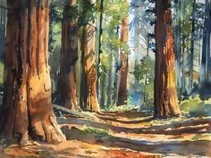 a watercolor painting of trees in the woods