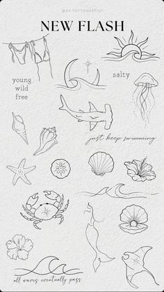 Sand Dollar Fine Line Tattoo, Dainty Tattoo Drawings, Small Tattoos Sea Ocean, Mako Shark Tooth Tattoo, Summer Tiny Tattoo, Starfish Behind Ear Tattoo, Small Coconut Tattoo, Tattoo Ideas Aesthetic Small, Out Of The Box Tattoo Ideas Cute Small Ocean Tattoos, Summer Fine Line Tattoo, Seashell Stamp Tattoo, Sand Dollar Fine Line Tattoo, Summer Tiny Tattoo, Fine Line Sea Creature Tattoo, Mako Shark Tooth Tattoo, Tiny Florida Tattoo, Small Coconut Tattoo