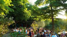 a large group of people sitting at tables in the shade of some trees and plants