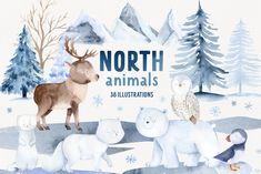 watercolor painting of polar bears, penguins and deer in the snow with words north animals