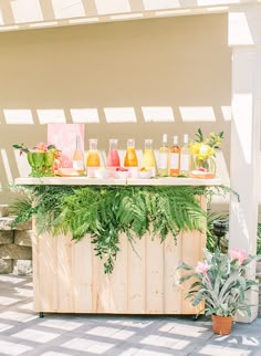 a wooden table topped with lots of bottles filled with liquid next to a potted plant