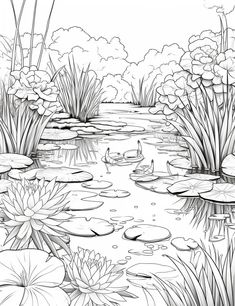 a black and white drawing of water lilies in a pond with lily pads on the ground