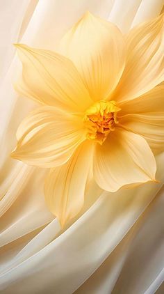 a large yellow flower sitting on top of a white sheet