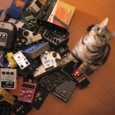 a cat sitting on top of a pile of old electronics and other electronic equipment that are all over the floor