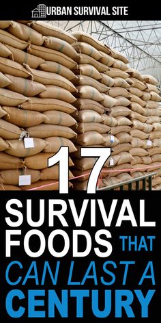 Emergency Planning, Natural Medicines, Prepper Food, Beginner Hiking, Diy Survival, Survival Foods, Survival Ideas