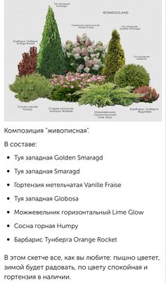 an image of a garden with different types of trees and shrubs in it, including the names