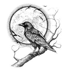 a black bird sitting on top of a tree branch in front of the full moon