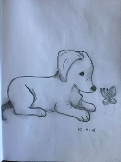 a drawing of a dog laying next to a butterfly