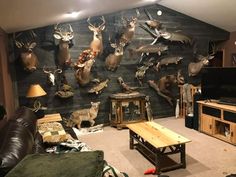 a living room filled with lots of deer mounted on the wall