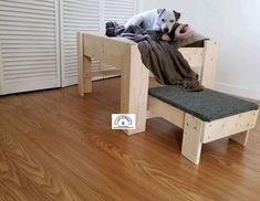 a dog laying on top of a wooden bench next to a bed with a blanket