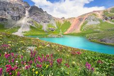 the flowers are blooming on the side of the mountain and blue water is in the foreground