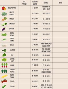 a table with different types of vegetables and their corresponding names in english, french or spanish