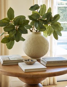 a table with books and a potted plant sitting on it's side stand