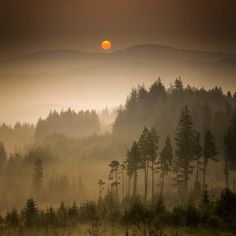 the sun is setting over some trees in the foggy forest with mountains in the background