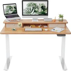 a desk with two computers on it and a plant next to the computer monitor screen