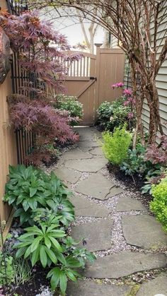 Walk Path Ideas, Brick Pathway, Side Yard Landscaping, Concrete Walkway, Walkway Ideas, Small Courtyard Gardens, Path Ideas, Texas Gardening, Backyard Renovations