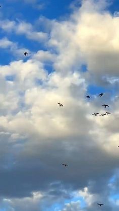 a flock of birds flying through a cloudy blue sky