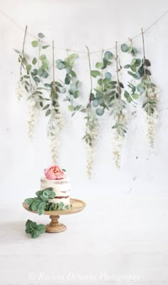 a cake sitting on top of a wooden stand with greenery hanging from the ceiling