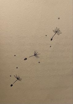 two dandelions flying in the air with drops of water coming from them on a sheet of paper