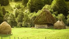 two straw huts in the middle of a field with trees and grass on each side