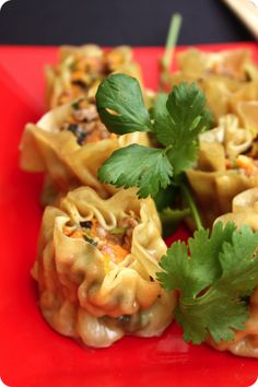 some food is on a red plate and garnished with cilantro leaves