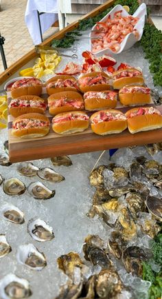 an assortment of seafood and oysters on ice at a restaurant or beachside bar