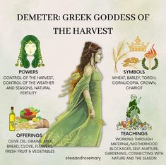 a poster with some information about the different types of herbs and how to use them