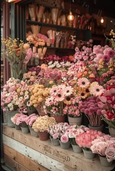 many different types of flowers are on display