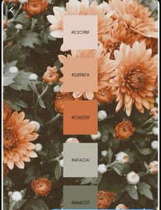 the color scheme for an orange and brown flower arrangement is shown in shades of browns