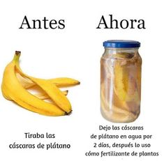 an image of banana peels and bananas in a glass jar with caption that says, old me new me