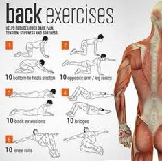 the back exercises are shown in this graphic style, with instructions to do them on each side