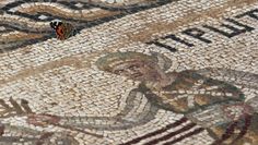 a butterfly sitting on top of a mosaic floor