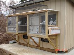 two large birds are in their cages on the side of a building with stairs leading up to them