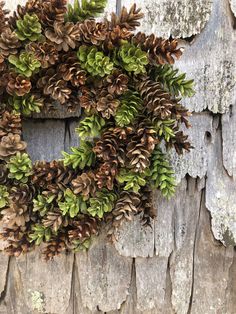 a wreath made out of pine cones is hanging on a wooden wall with peeling paint