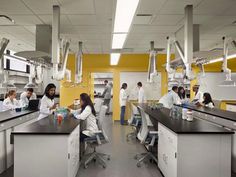 a group of people working in a lab