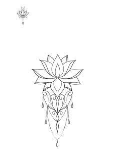 a drawing of a lotus flower on a white background