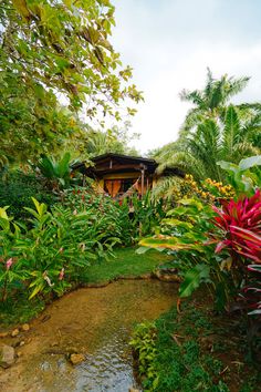 a small stream running through a lush green forest next to a building with a thatched roof