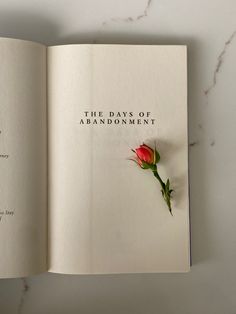 an open book with a single rose on it