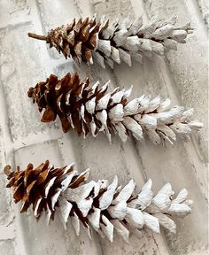 two white pine cones sitting on top of a brick floor