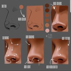 how to draw nose shapes for beginners and prosthetics - step by step