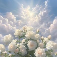 a painting of white roses in a vase with the sun shining through clouds behind them