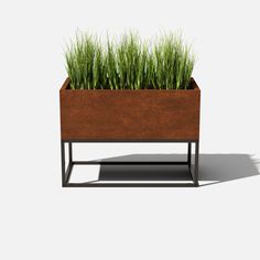 a planter with grass growing out of it