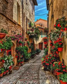 an alley way with potted plants and flowers on either side, surrounded by brick buildings