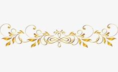 an ornate gold border with leaves and swirls on a white background stock photo - budget conscious