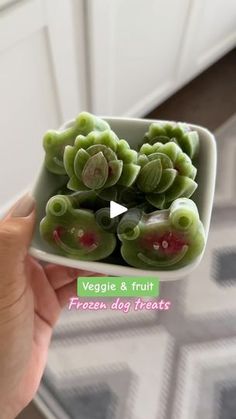 a person holding a small bowl filled with green plants