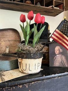 a potted plant with red tulips sitting on top of an old trunk